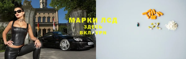 молекула духа Тайга
