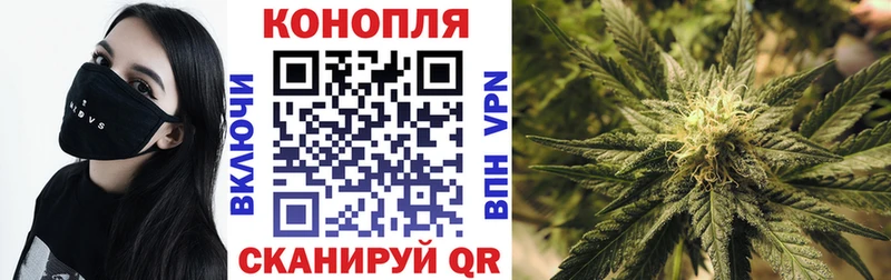 Канабис VHQ  наркотики  Бузулук 
